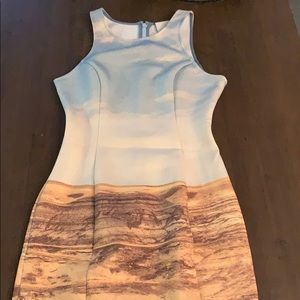 Addison Graphic Bodycon Dress